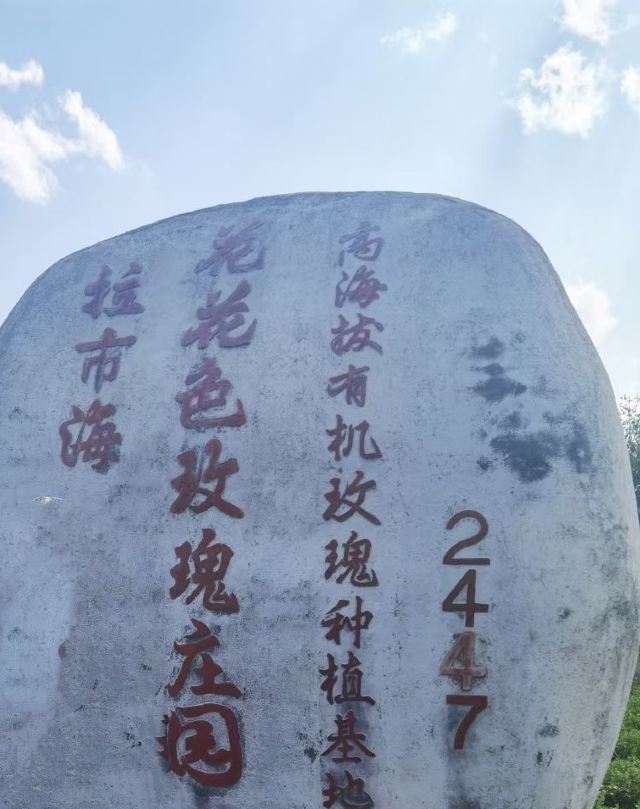 丽江花花色玫瑰庄园旅行图片 1