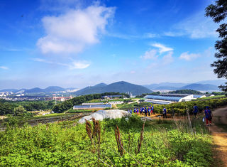 大连金州蓝莓谷你知道吗?