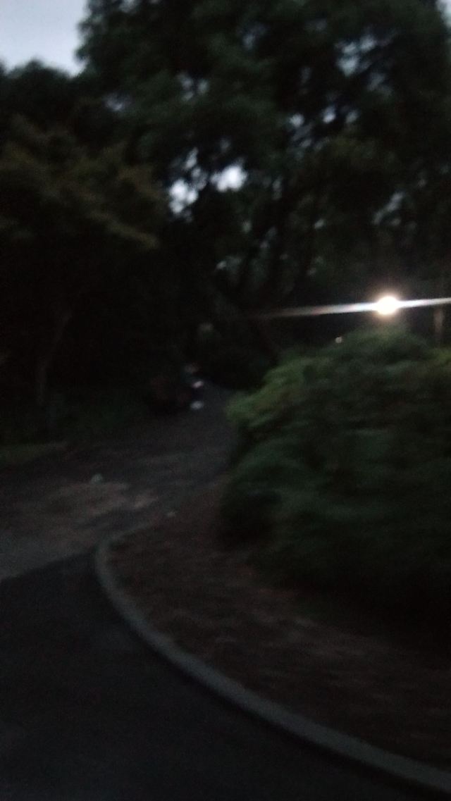 漕溪公园旅行图片 2