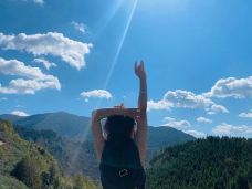 皇家英里大道-爱丁堡-Lavender and Sun