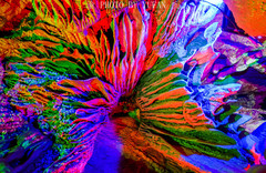 阳江游记图片] 阳江龙宫岩，广东拍照最美的溶洞，漫步其间如同在龙宫仙境一般