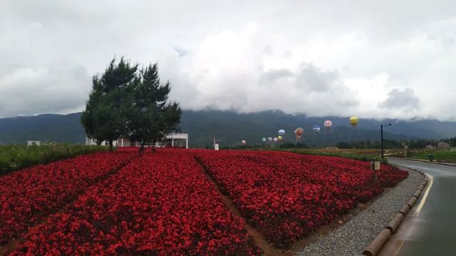 雪山花海乐园旅行图片 9