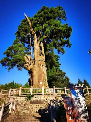 2020年8月—清凉夏日景宁大漈