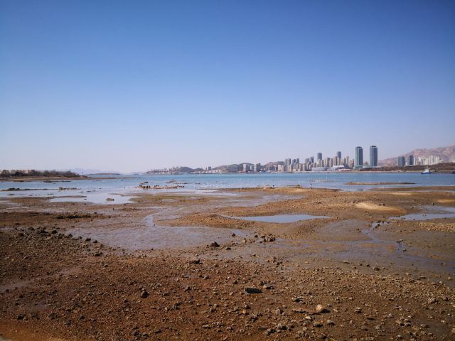唐岛湾滨海公园-观景台旅行图片 2