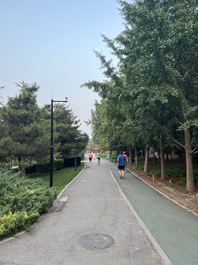 庆丰公园旅行图片 3