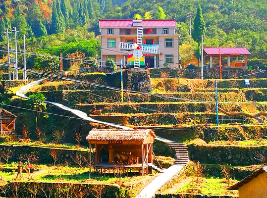 浙江旅游:感受衢州常山黄塘乡村游魅力(图)