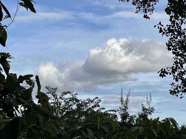 曼远村旅行图片 12