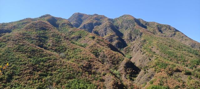 百里山水画廊旅行图片 12
