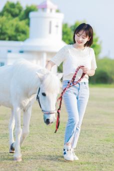 苏州中国花卉植物园-苏州-C-IMAGE