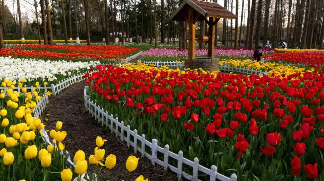 南京中山植物园