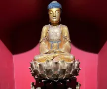 1-Day Dingxi Tour: Longxi County Museum's historical depth, Zheyang Mountain and Yuhu Park's natural beauty