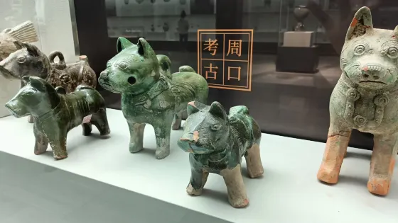 周口市博物館