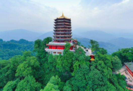 青城前山-老君阁景点图片