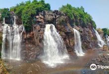 Les Chutes de Boali景点图片