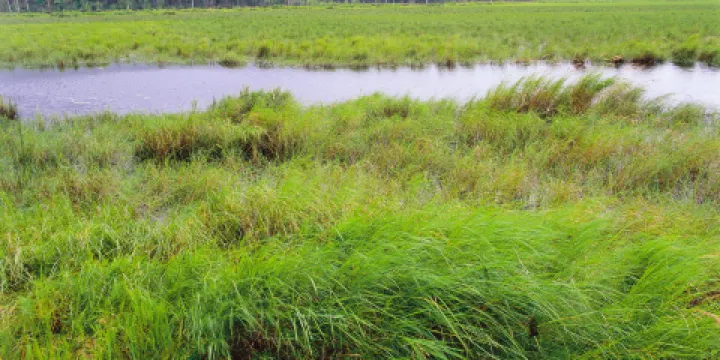 三江自然濕地保護區