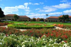 斯坦福大学-斯坦福