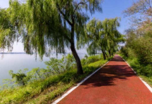 柳叶湖旅游度假区景点图片