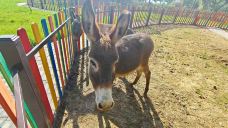 星河欢乐田园-永靖