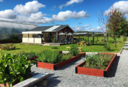 克瓦诺花园景点图片