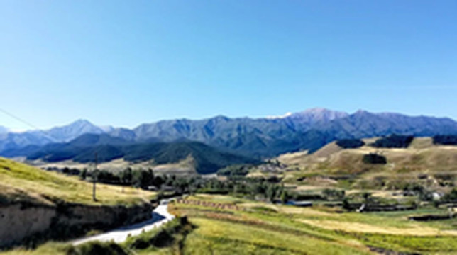 天祝游记图片] 一眼四季 金色哈溪