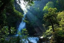 神农谷国家森林公园景点图片