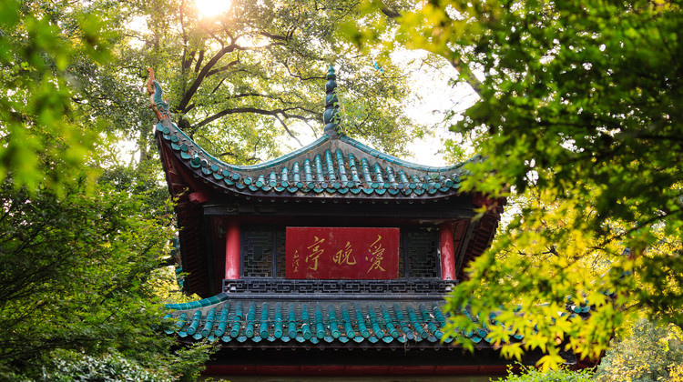 湖南旅行社排名哪家好？国悦旅游专业服务获口碑推荐