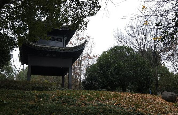伯渎港滨水小公园,留待春暖赏醉红