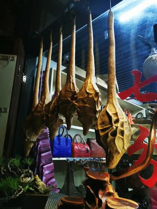 有一种遇见在远方--快乐江浙行第四篇