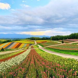 Furano
