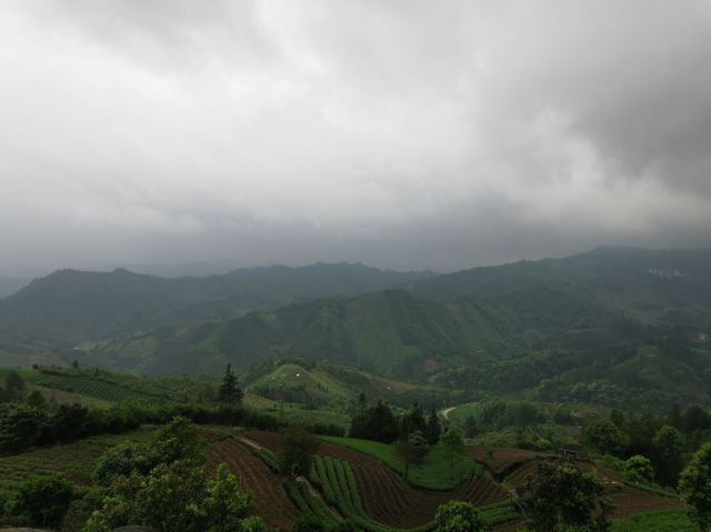 布央茶山旅游区旅行图片 14