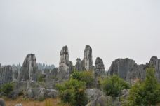 李子箐石林-石林-牛奶海