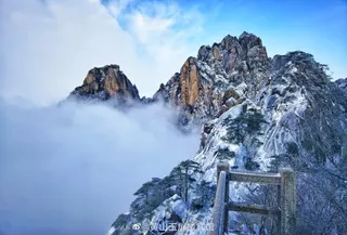 爬了个黄山,去看玉树琼花