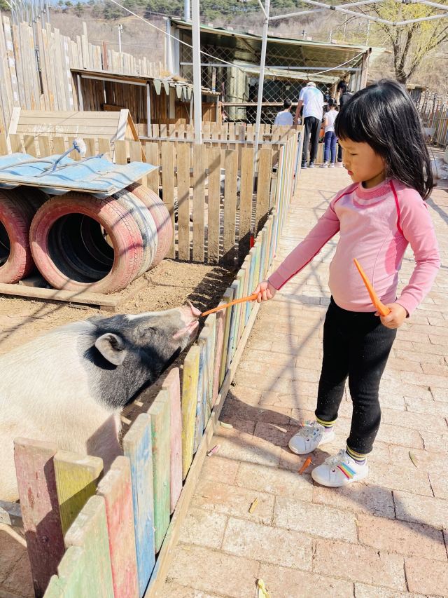 日光山谷旅行图片 4
