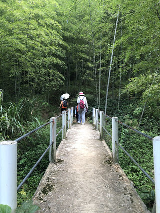 广州徒步，星溪线徒步攻略,广州最美徒步线，穿越竹林休闲徒步享受山间的清幽和宁静