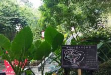 蒙山县永安王城景区-西炮台公园景点图片