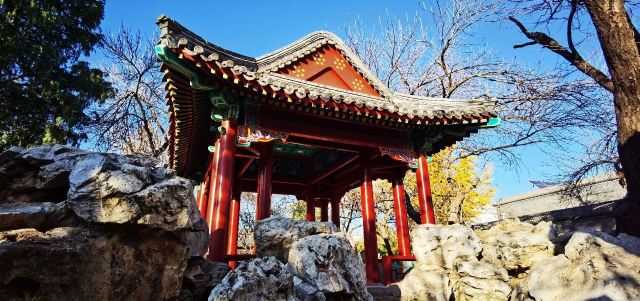 宣武艺园旅行图片 5