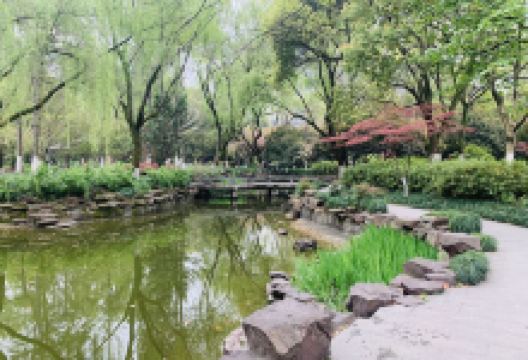 嘉绿苑公园景点图片