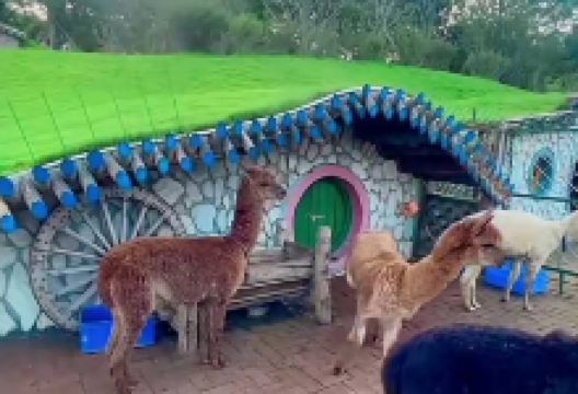圣鑫葡萄酒庄景点图片