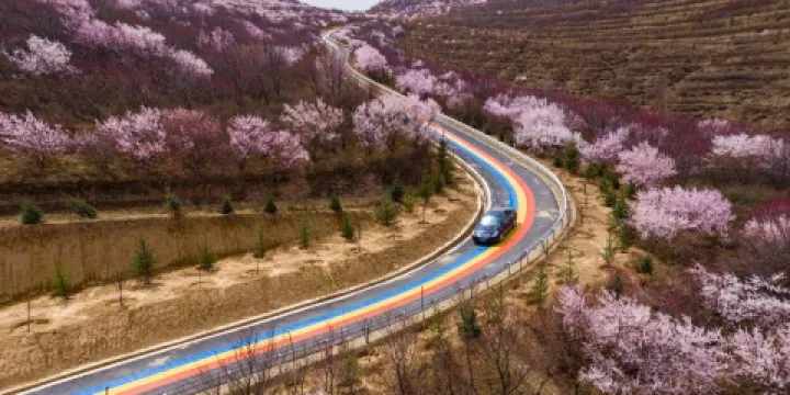 嘛喇灣77號彩虹路