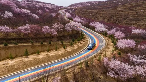嘛喇灣77號彩虹路