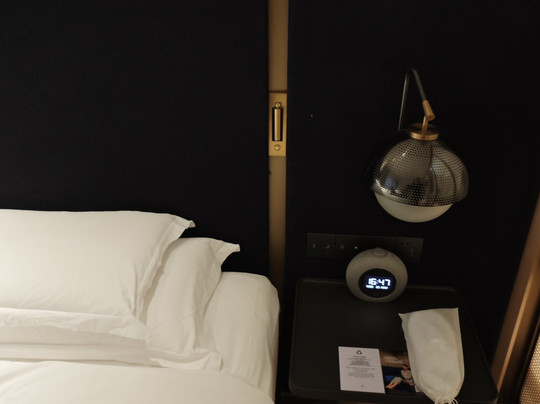 voco Nanjing Garden Expo by IHG主图