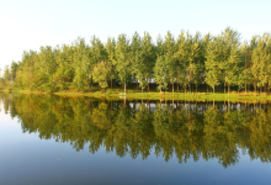 安徽利辛西淝河国家湿地公园景点图片