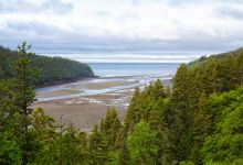 芬迪国家公园景点图片