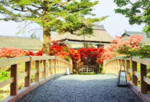 長岡天滿宮景点图片