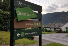 Dodd Wood景点图片