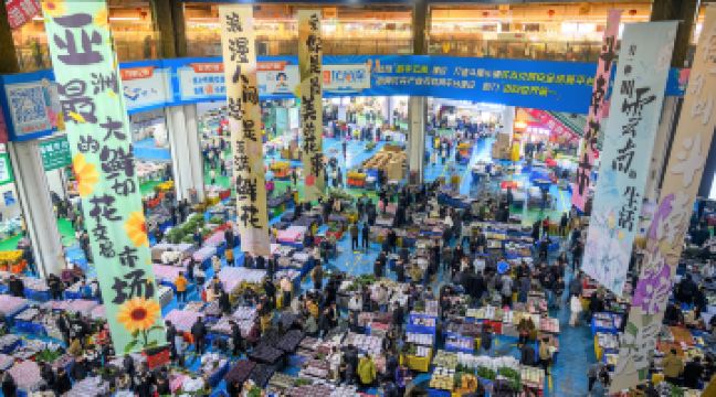 昆明斗南花卉市场