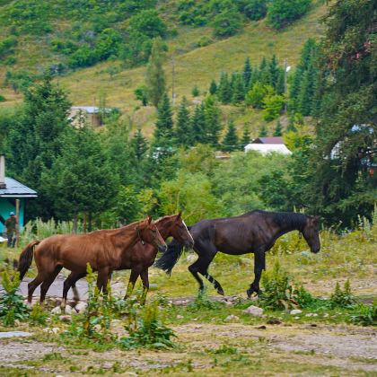 哈萨克斯坦+阿拉木图5日4晚私家团