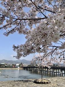 岚山-京都-东京浪人