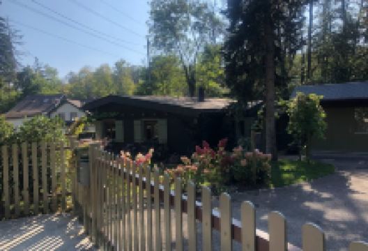 School De Dressage景点图片