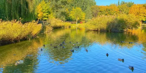 上壩河國家森林公園
